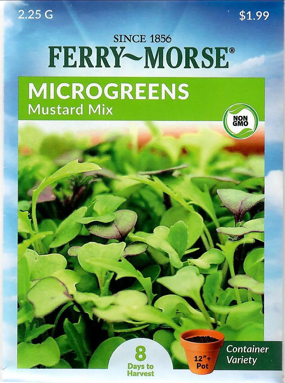 Lettuce Mustard Mix Microgreens Vegetable Seeds Non-Gmo