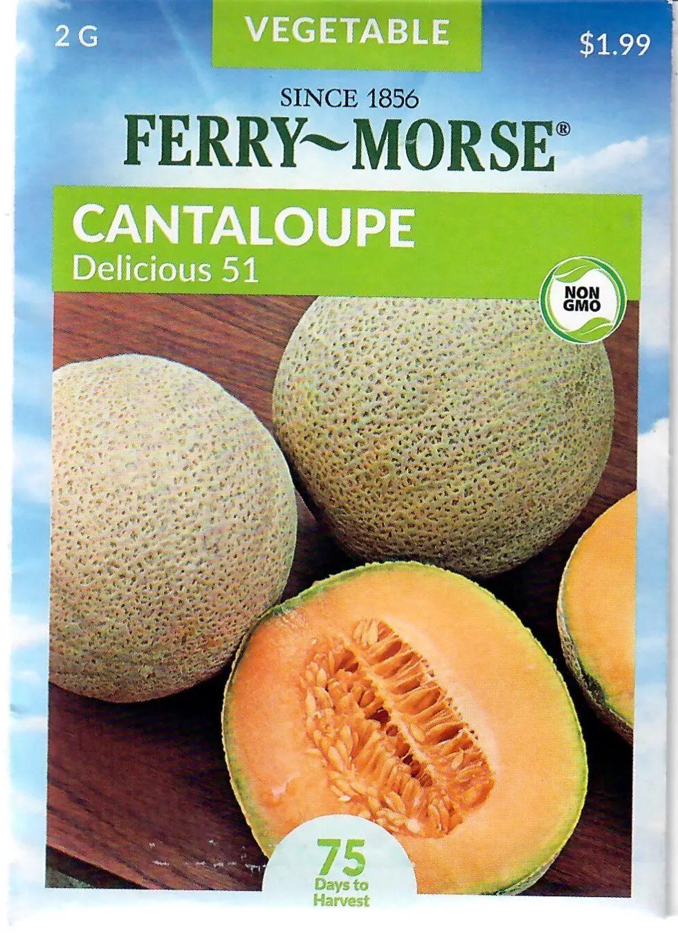 Cantaloupe Delicious 51 Vegetable Seeds Non-Gmo