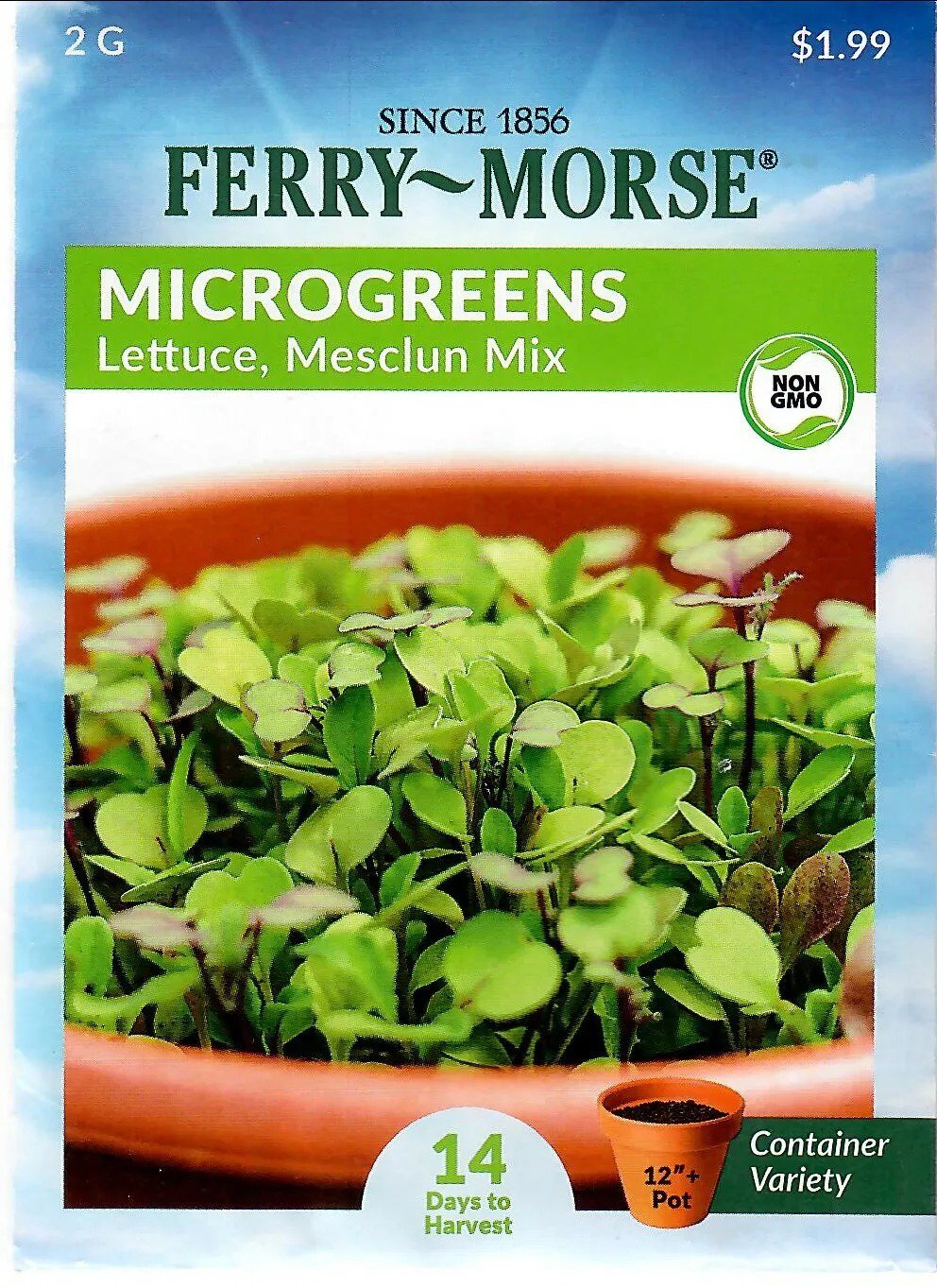 Lettuce Microgreens Mesclun Mix Vegetable Seeds Non-Gmo