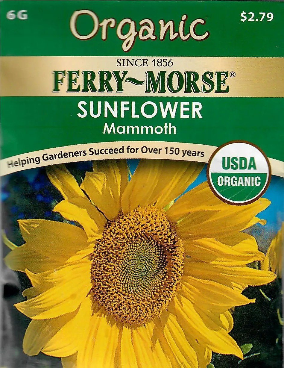 Sunflower Mammoth Organic Flower Seeds Non-Gmo