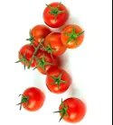 200 Cherry Tomatoes Super Sweet Large Seeds Sweet Tasty Heirloom Non Gmo &Acirc;&nbsp;
