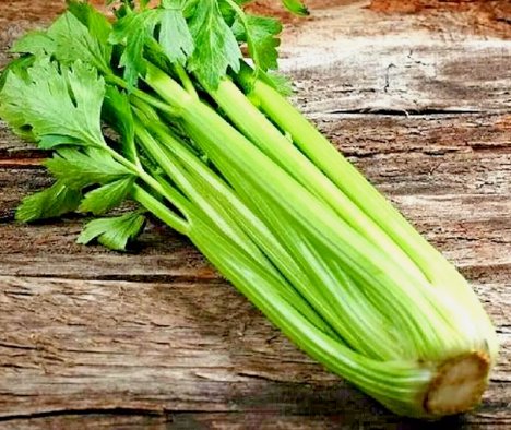 1000 Tall Celery Seeds Spring Garden Vegetable Hardy Tasty Heirloom Non Gmo