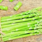 150 Asparagus Seeds Perennial Autumn Garden Vegetable Heirloom Non Gmo 150 Asparagus Seeds Perennial Autumn Garden Vegetable Heirloom Non Gmo