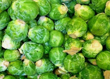 Brussels Sprouts 100 Seeds Spring Garden Heirloom Vegetable Non Gmo