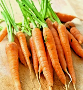 Carrot 200 Seeds Spring Vegetable Garden Non Gmo&Acirc;&nbsp;