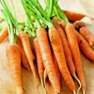 Carrot 200 Seeds Spring Vegetable Garden Non Gmo 