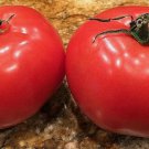 200 Seeds Tomato All-American Giant Beefsteak Massive Fruits