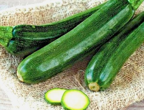 75 Squash Zucchini Seeds Black Beauty Spring Heirloom Vegetable Garden Non Gmo