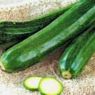 75 Squash Zucchini Seeds Black Beauty Spring Heirloom Vegetable Garden Non Gmo