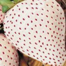 150 White Wonder Strawberry Seeds Spring Perennial Heirloom Non Gmo Fruit