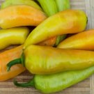 25 Seeds  Authentic Sweet Banana Premium Pepper