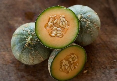 25 Quality Fresh Super-Sweet Charentais Premium Melon Seeds