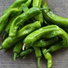 25 Fresh Sweet Organic Japanese Shishito Premium Pepper Seeds