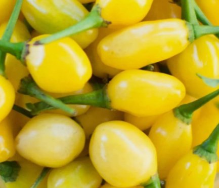25 Hot Cumari do Para Quality Premium Pepper Seeds