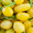 25 Hot Cumari do Para Quality Premium Pepper Seeds