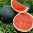 25 Quality Sweet Black Diamond Premium Watermelon Seeds 25 Quality Sweet Black Diamond Premium Watermelon Seeds