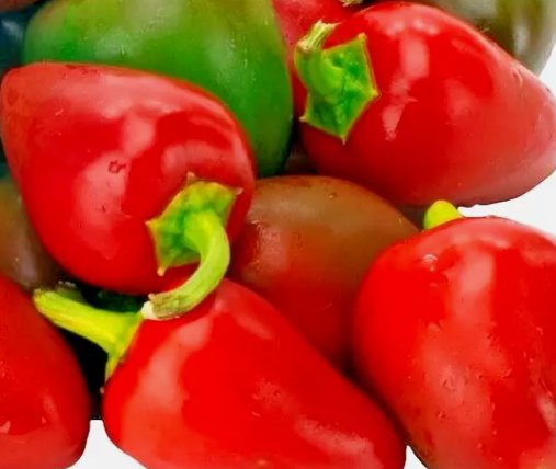 25 Garden Fresh Sweet Premium Heirloom Pimento Pepper Seeds