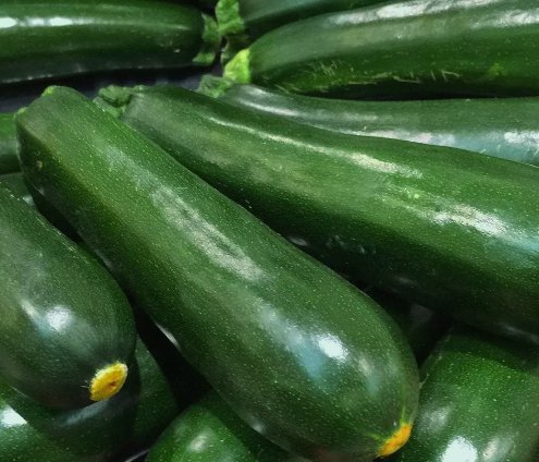 20 Fresh Premium Black Beauty Summer Squash Seeds