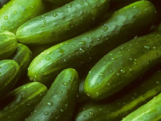 Garden Sweet Cucumber 30 Seeds Burpless Organic Non Gmo