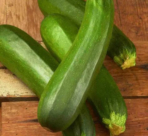 Dark Green Zucchini Summer Squash 25 Seeds
