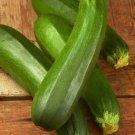 Dark Green Zucchini Summer Squash 25 Seeds