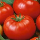 Beefsteak Tomato Heirloom Slicing Non Gmo 50 Seeds