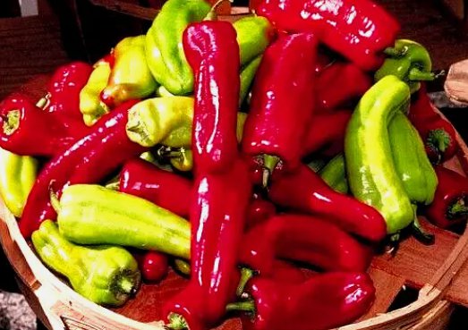 Sweet Cuban Pepper Rare Spring Vegetable Garden Heirloom Non Gmo 50 Seeds