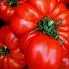 Marmande Giant Beefsteak Rare French Tomato Huge Heirloom Non Gmo Juicy 30 Seeds