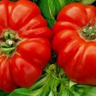 Rare Giant Oxheart Tomato Huge Tasty American Heirloom Non Gmo Juicy 30 Seeds