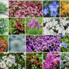 Perennial Wildflower Mix Rock Garden 500 Seeds Vegetable Herb Garden Seed Packs for Sale