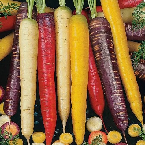 Rainbow Carrot Blend Mix 100 Seeds Vegetable Herb Garden Seed Packs for Sale