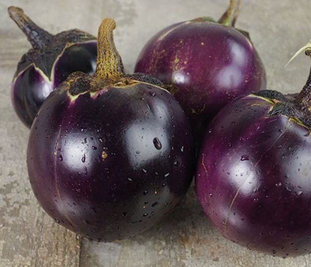 Thai Round Eggplant 50 Seeds Vegetable Herb Garden Seed Packs for Sale