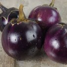 Thai Round Eggplant 50 Seeds Vegetable Herb Garden Seed Packs for Sale