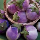 Round Mauve Eggplant 50 Seeds Vegetable Herb Garden Seed Packs for Sale