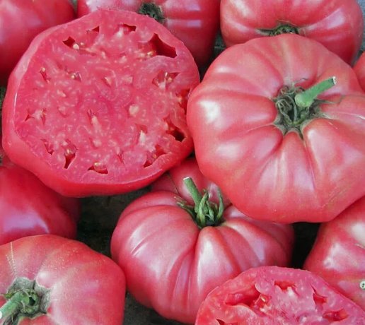 Pink Brandywine Tomato 50 Seeds Vegetable Herb Garden Seed Packs for Sale