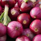 Ruby Red Onion 200 Seeds Vegetable Herb Garden Seed Packs for Sale Ruby Red Onion 200 Seeds Vegetable Herb Garden Seed Packs for Sale