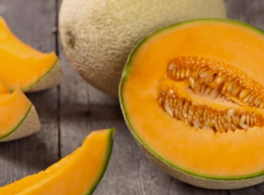 Top Mark Cantaloupe Cucumis Melo Fruit 50 Seeds Vegetable Herb Garden Seed Packs for Sale