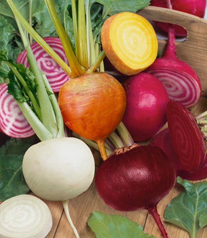 Rainbow Blend Beet Mix 50 Seeds Vegetable Herb Garden Seed Packs for Sale