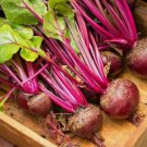 Lutz Green Leaf Red Stem Beet 50 Seeds Vegetable Herb Garden Seed Packs for Sale