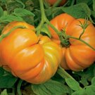 Kellogg's Breakfast Tomato 50 Seeds Vegetable Herb Garden Seed Packs for Sale
