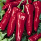 Big Jim Pepper 25 Seeds Vegetable Herb Garden Seed Packs for Sale