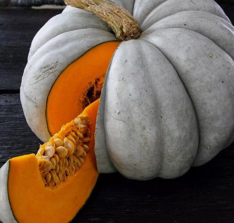 Jarrahdale Blue Pumpkin 5 Seeds Vegetable Herb Garden Seed Packs for Sale