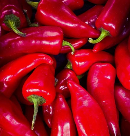 Fresno Chili Pepper 25 Seeds Vegetable Herb Garden Seed Packs for Sale