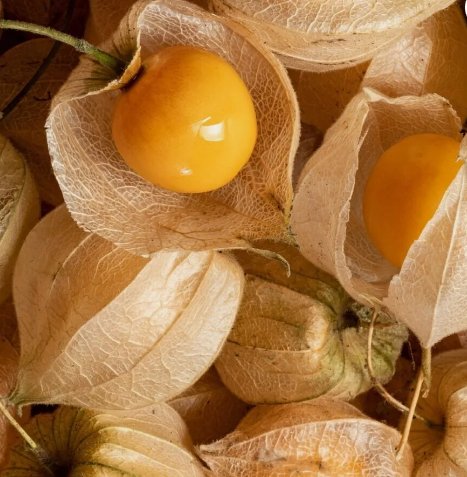 Cape Gooseberry Tomatillo Large Fruit 100 Seeds Vegetable Herb Garden Seed Packs for Sale