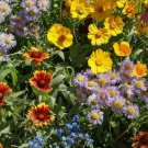 Bee Wildflower Mix Colorful MIixture 15 Species 100 Seeds Vegetable Herb Garden Seed Packs for Sale