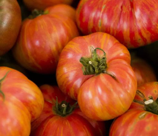 Hillbilly Heirloom Tomato 50 Seeds Vegetable Herb Garden Seed Packs for Sale