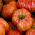 Hillbilly Heirloom Tomato 50 Seeds Vegetable Herb Garden Seed Packs for Sale
