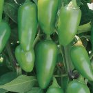 Jalapeno Early Pepper 100 Seeds Vegetable Herb Garden Seed Packs for Sale