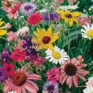Cutflower Wildflower Mix 200 Seeds Vegetable Herb Garden Seed Packs for Sale
