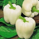 White Bell Sweet Pepper Capsicum Annuum 20 Seeds Vegetable Herb Garden Seed Packs for Sale
